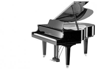 全球五千種進(jìn)口商品本周日新會展啟幕 鋼琴展區(qū)成亮點