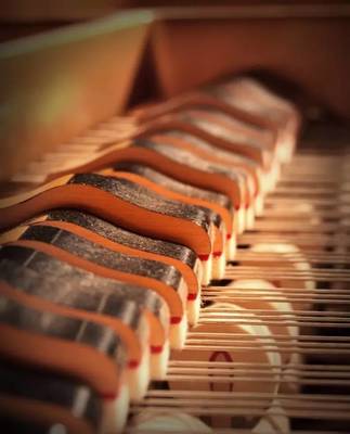 樂器養護之樂器之王——鋼琴